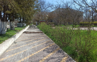 1-IMG_20260406_115042