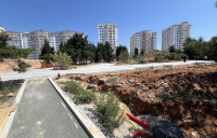 1-IMG_9015
