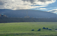 1-photo_5240473787982089534_y