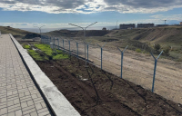 3-photo_5240473787982089579_y