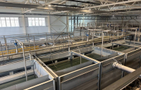 2-photo_5334836560232385409_y