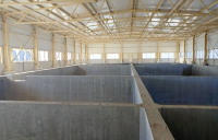 photo_5341630786177798137_y