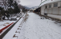 3_MG_20260121_125600