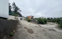 3-IMG_8494