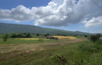 5-IMG_8523