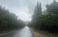2-IMG_6571