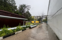 3-IMG_9760