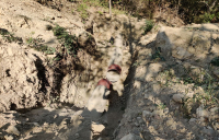 img_20230927_130053