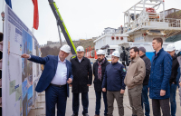 Коллектор_24